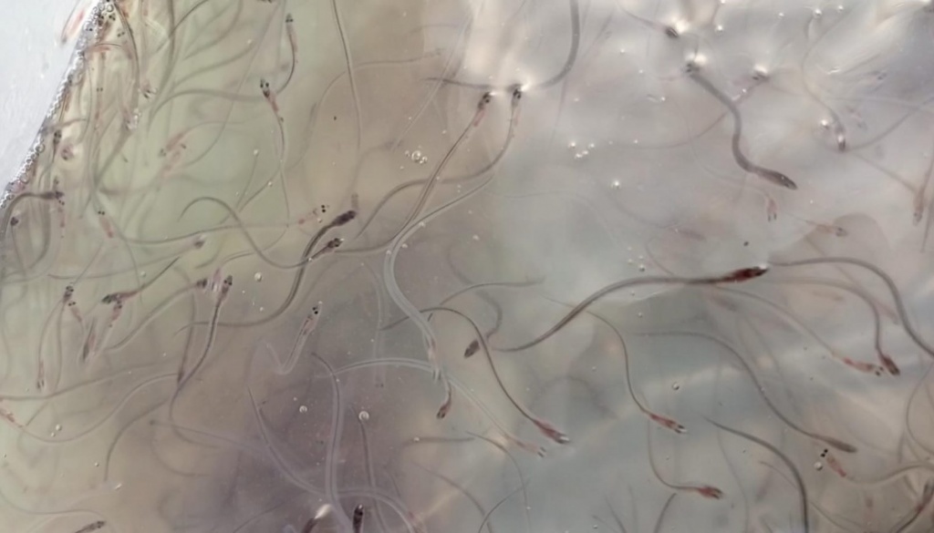 WhatsApp Image 2025-01-06 at 14.30.20 (2)