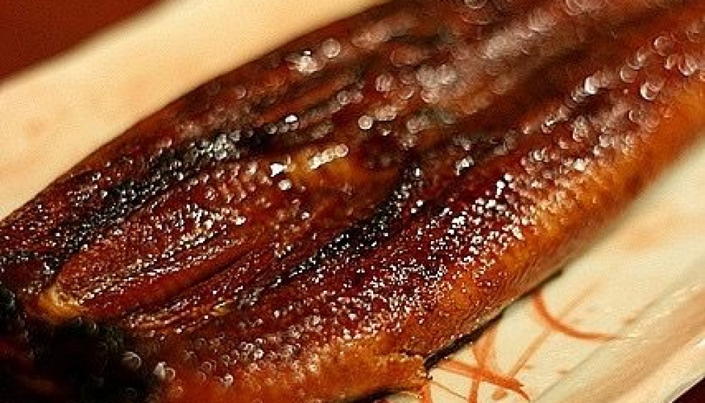 WhatsApp Image 2026-04-19 at 15.35.03